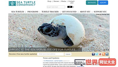 海龟保护海龟保护协会