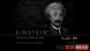 爱因斯坦官网