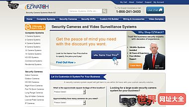 安全摄像机和视频监控系统
