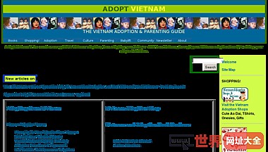越南收养收养的父母指南
