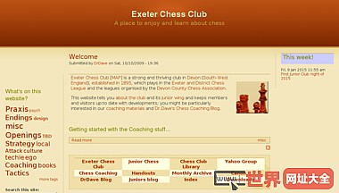 埃克塞特象棋俱乐部一个欣赏和学习象棋的地方