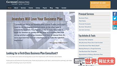Business Plan Consultant