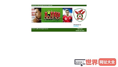 威尔士国际足球网站Safle我们像素下降