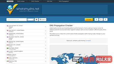 国际DNS节点查询网