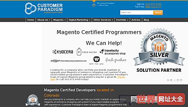 客户范式Magento电子商务数字营销