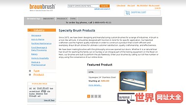 Braun Brush标准和专业刷制造商