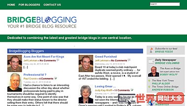 bridgeblogging.com