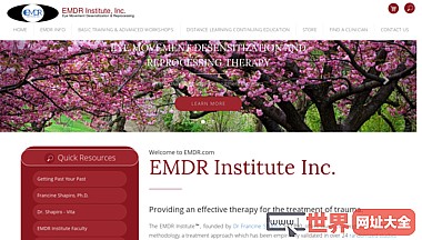 EMDR Institute