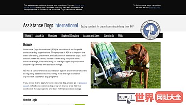 协助狗国际：援助狗国际