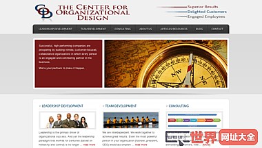 Center for Organizational Design