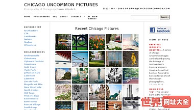 芝加哥城市摄影网
