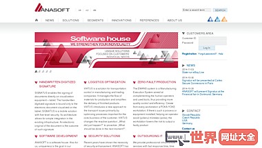 定制软件开发服务：anasoft
