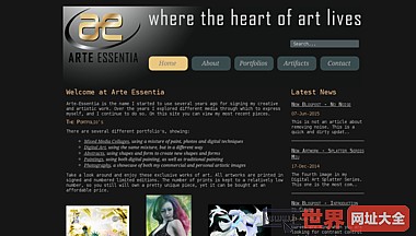 创意艺术家-网页设计专家-网络优化—