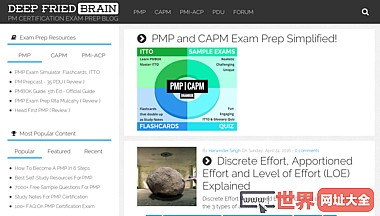 油炸脑PMP CAPM PMI-ACP认证的博客