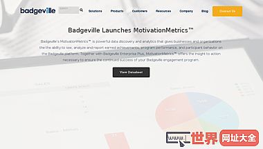 美国Badgeville游戏化服务开发公司
