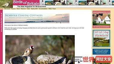 Birds Of Britain