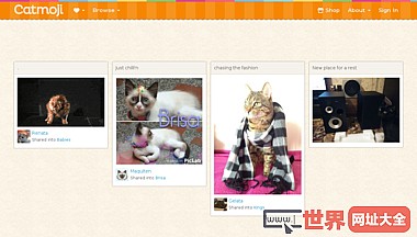 宠物猫咪图片社交网