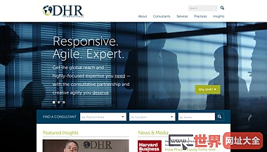 执行搜索继任规划DHR国际