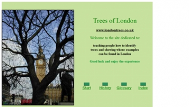 Trees of London