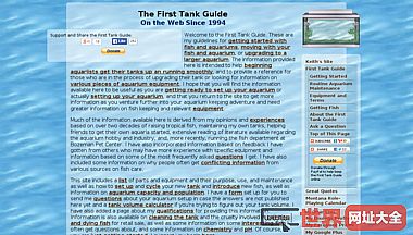 The First Tank Guide