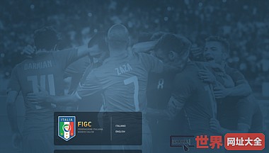 意大利国家足球协会官网