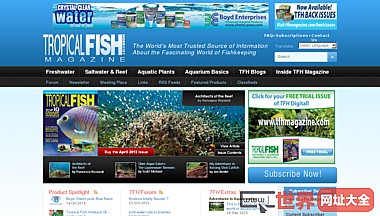 热带鱼爱好者杂志
