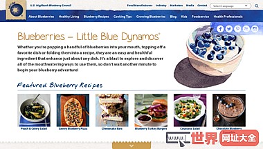 蓝莓-食谱和成长的秘诀蓝莓理事会