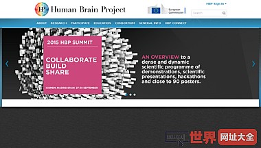 人类大脑项目研发平台